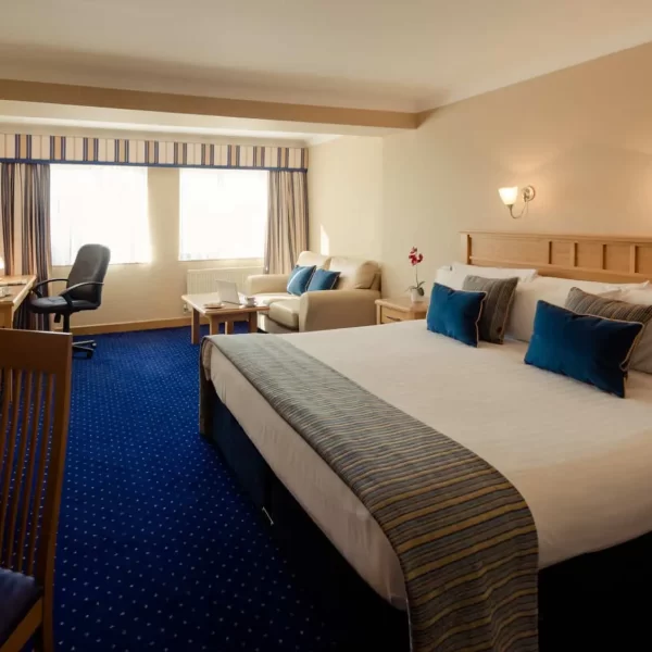 Roches Town Lodge, Dublin